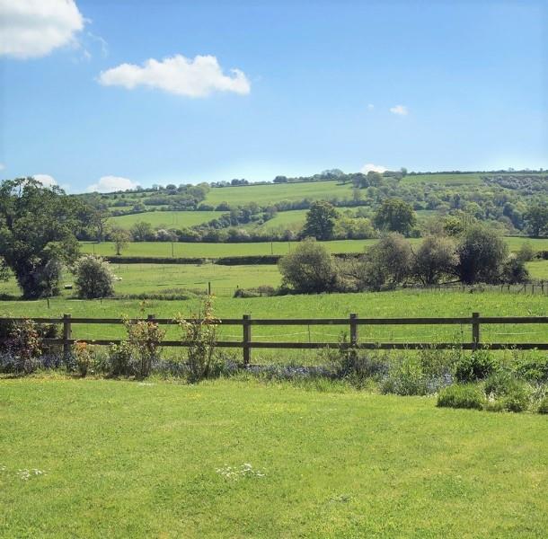 Lush green fields in Dorset