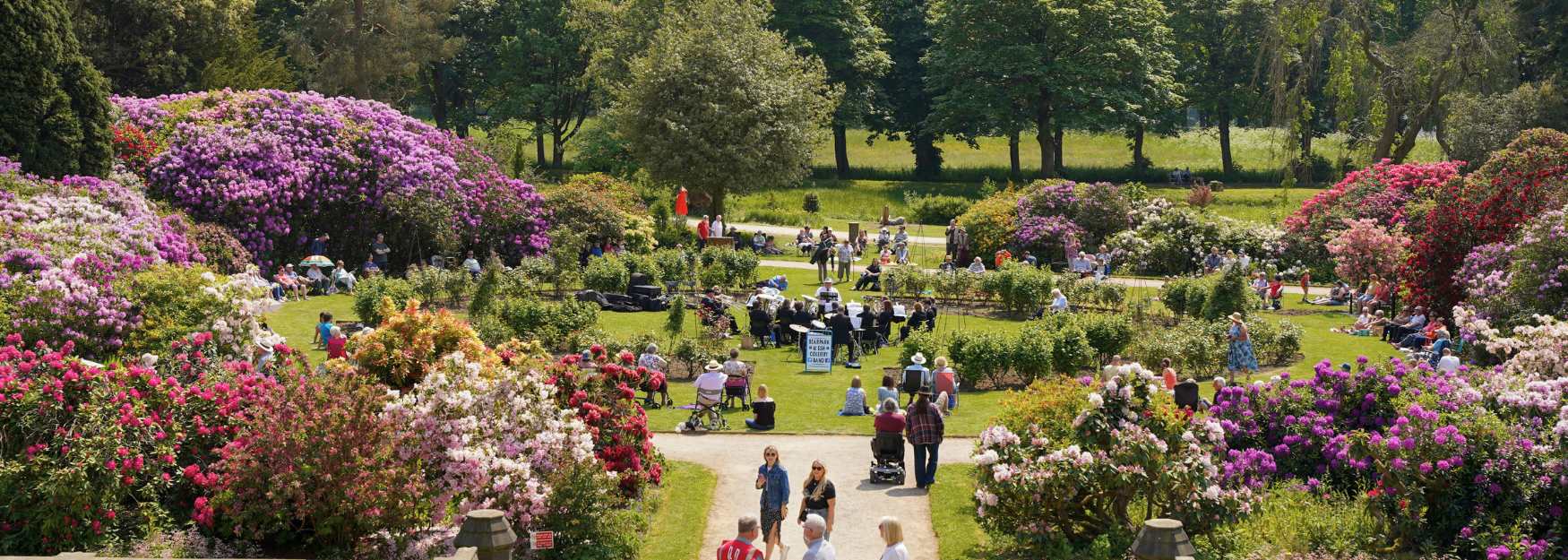People walking through a garden