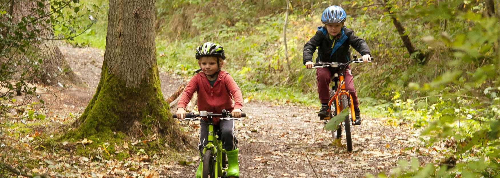 Kids on bikes at Hamsterely Forest