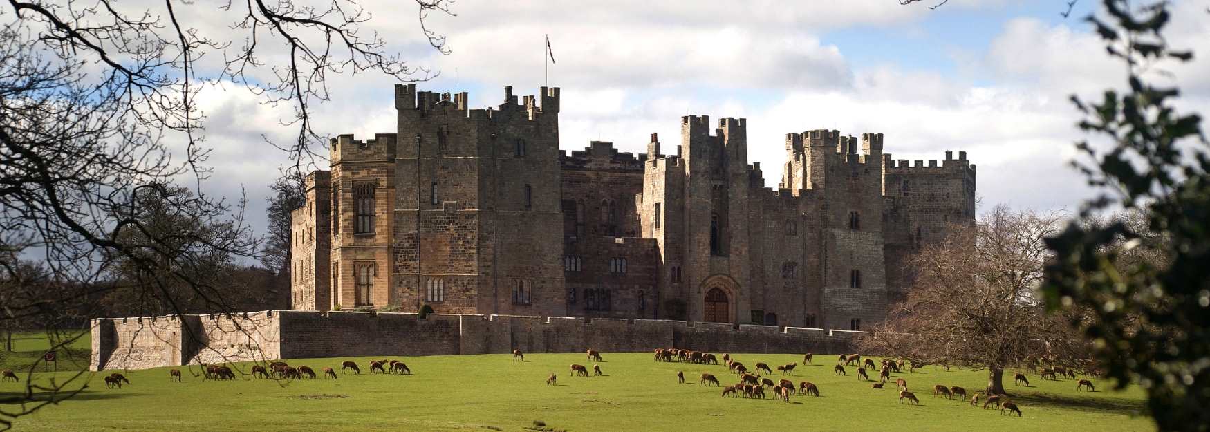 The castle and deers at Raby Castle