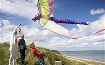 What on the Durham Coast