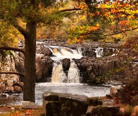 Low Force