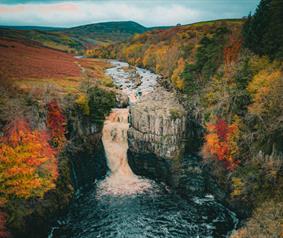Durham forest in the autumn