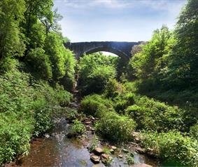 Causey Arch