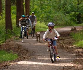 family bike ride at Hamsterley Forest