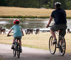 father and son bike ride at Raby Castle with deer in background