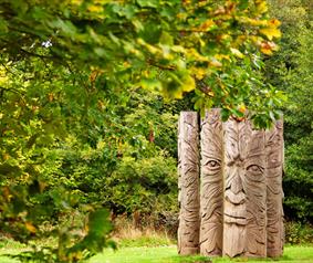 Hamsterley Forest