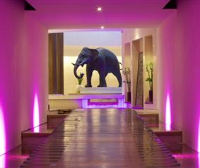 shot of the walkway inside Seaham Hall spa with an elephant sculpture 