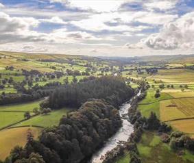 River Tees