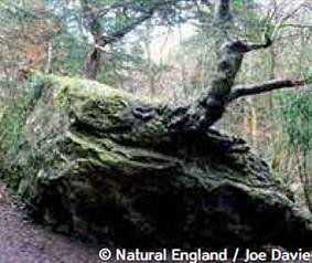 Devil's Stone Castle Eden