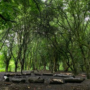 Rainton Meadows Nature Reserve and Visitor Centre