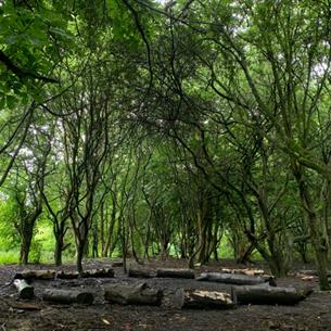 Rainton Meadows Nature Reserve and Visitor Centre