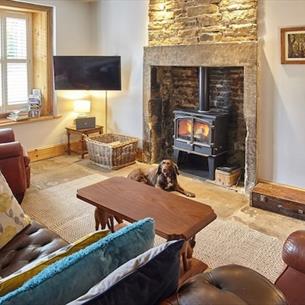 Living area with fireplace