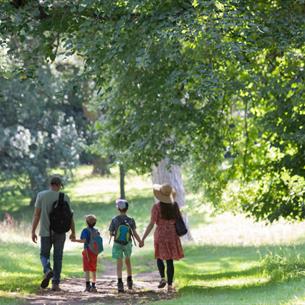 family walking hand in hand through the green lush trees at Auckland Palace Deer Park