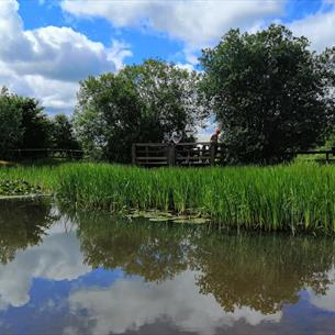 Aycliffe Nature Park