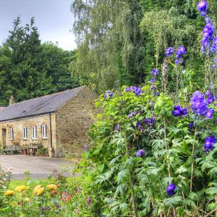 The Barn at Low Friarside Farm