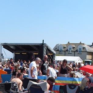 Crowd enjoying performances at Seaham Carnival on a sunny day by the sea.