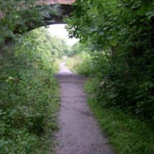 Cycle Path at Castle Eden