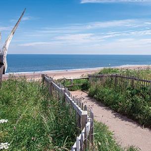 The beach banks at Crimdon
