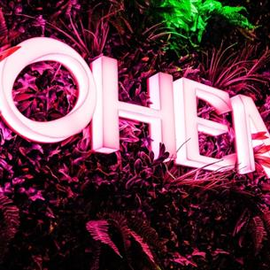 Bohemia neon light