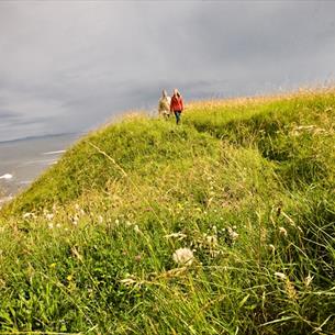 Beach banks at Horden