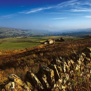 Wolsingham Family Walk