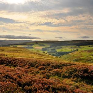 North Pennines in Autumn