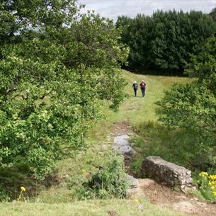 The Teesdale Challenge Walks