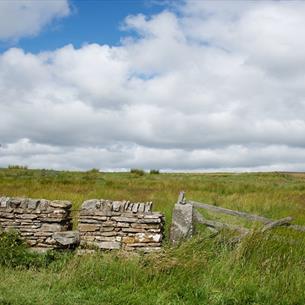 Durham Dales on a sunny day