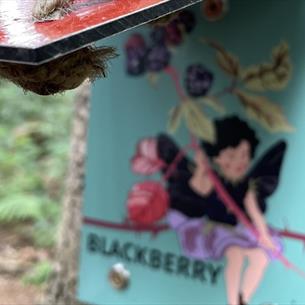 Fairy Quiz at Broom House Forest Adventure
