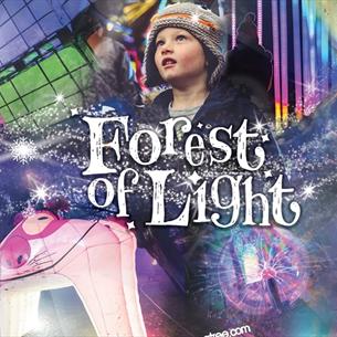 Children and families enjoying the 'Forest of Light' at Beamish Hall Hotel