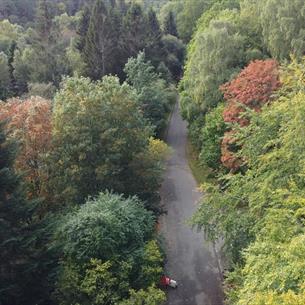 Walking at Hamsterley Forest