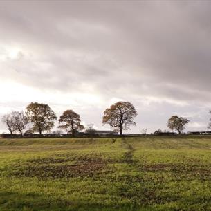 Countryside around Hunwick.