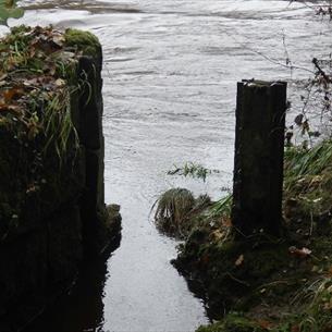 Riverside path
