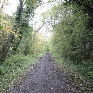 Hunwick country lane.