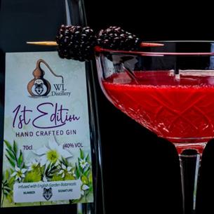 1st edition gin