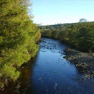 River Tees