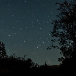 The Orionid Meteor Shower