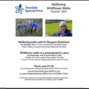 Poster advertising walking events, image of the Blue Gentian and the guide with details of walks.