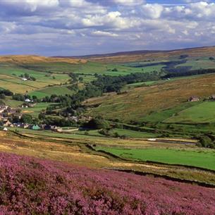 Durham Dales