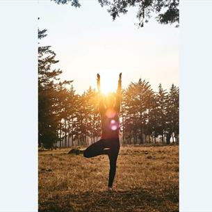 Rejuvenate at Raby Castle: A Wellness Retreat. Someone doing Yoga outdoors
