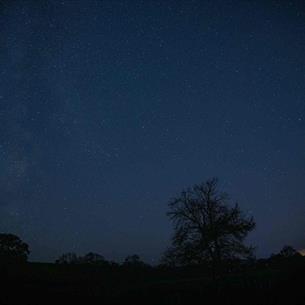 A dark starry sky.