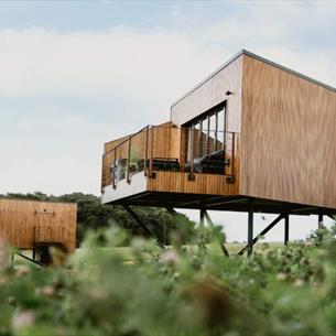 Exterior view of elevated treehouses amongst the fields and wildflowers