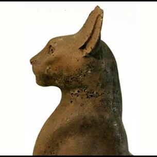 Ancient Egyptian cat coffin.