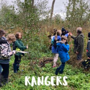 A group of children exploring woodland - Nature Rangers