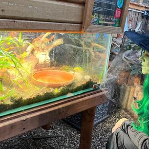 A witch lurking between the tanks at Potter's World, Lanchester Garden Centre.