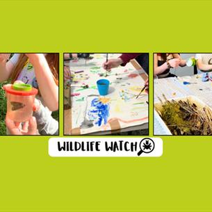 A selection of images of children painting and enjoying craft activities