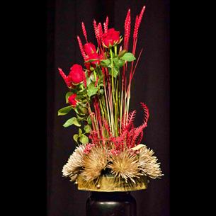 Beautiful red flower display.