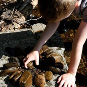 Child looking at fossils on a rock.