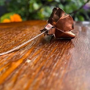 A Copper Rose